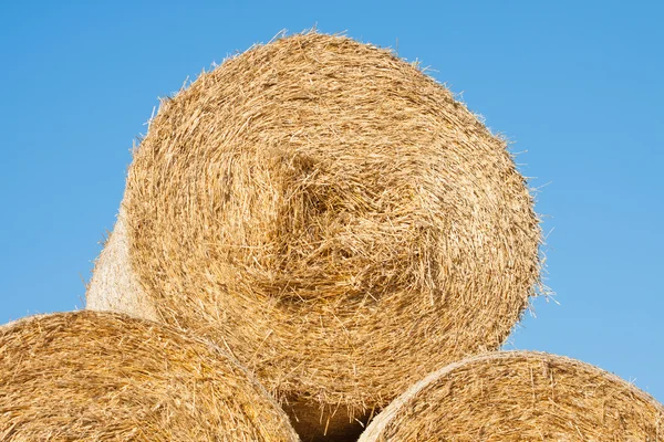 Golden hay bale collected — Stock Photo, Image