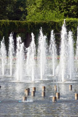 Çeşme Wroclaw, Polonya