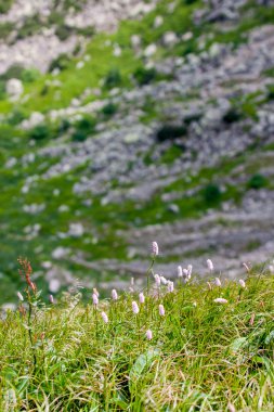 dağlar karkonosze Polonya