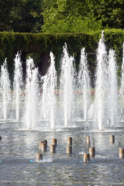 Çeşme Wroclaw, Polonya