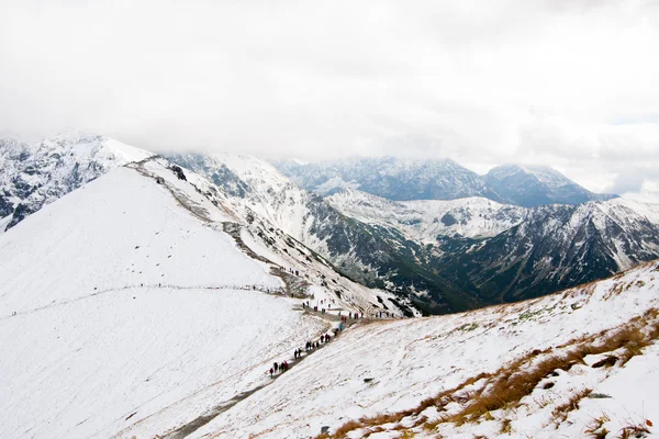 พาโนรามาของภูเขาทาตราโปแลนด์ — ภาพถ่ายสต็อก