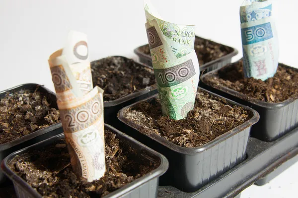 Lehçe para - kar dikildi