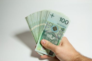 Polonya para birimi - pln - Polonya Zlotisi