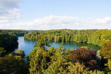 göl ve orman lagow lubusz Polonya