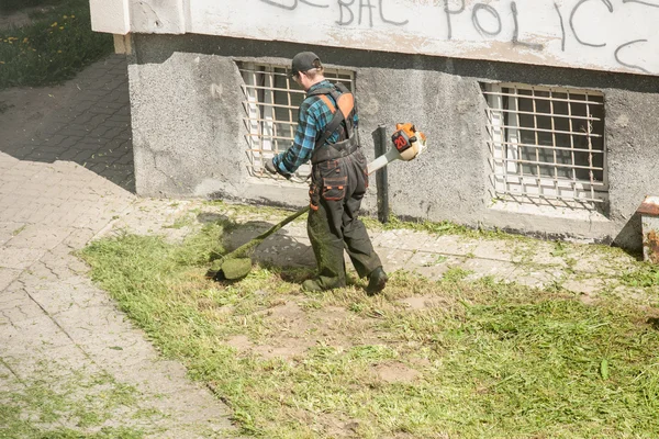 Worker mowing the grass with trimmer — Stock Photo, Image