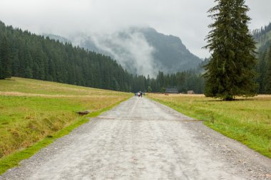 Ko? cieliska Vadisi Polonya Tatras