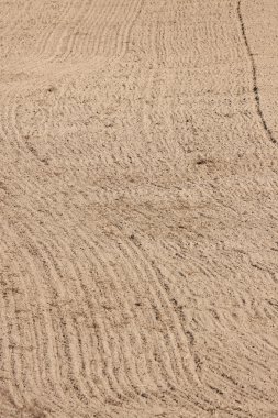 sürülmüş alan bitkileri - arazi