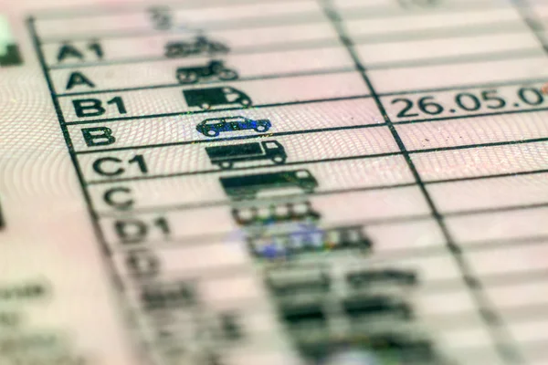 sürücü belgesi Lehçe