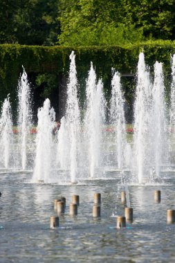 Çeşme Wroclaw, Polonya.