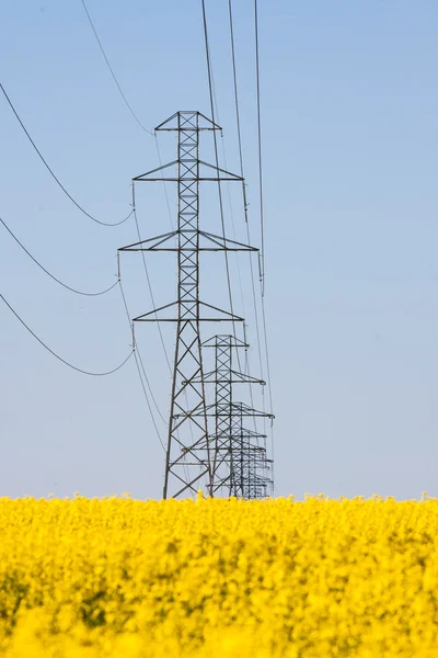 Line of high voltage — Stock Photo, Image