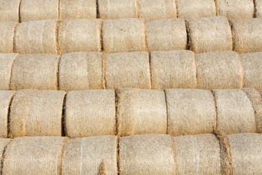 bir tarlada saman balyaları