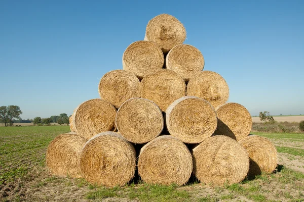 Hay bales in a field — Stock Photo, Image