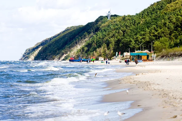 Baltık Denizi Polonya wolin - sahil