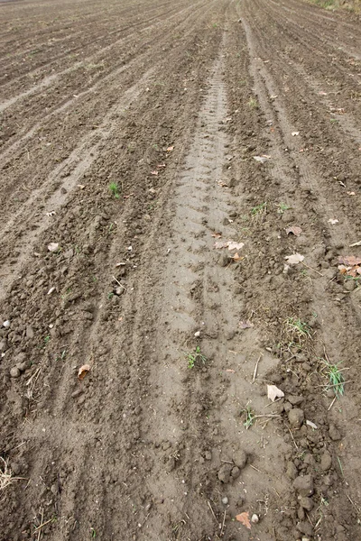 Brauner Boden landwirtschaftliches Feld — Stockfoto