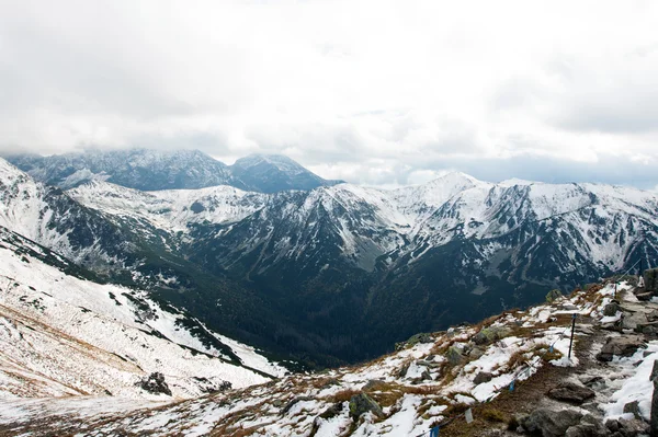 Polske Tatra-fjell i snøen – stockfoto