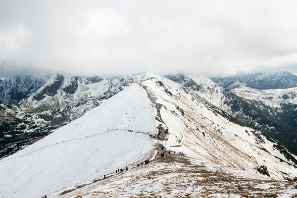 Pools tatra bergen in de sneeuw — Stockfoto