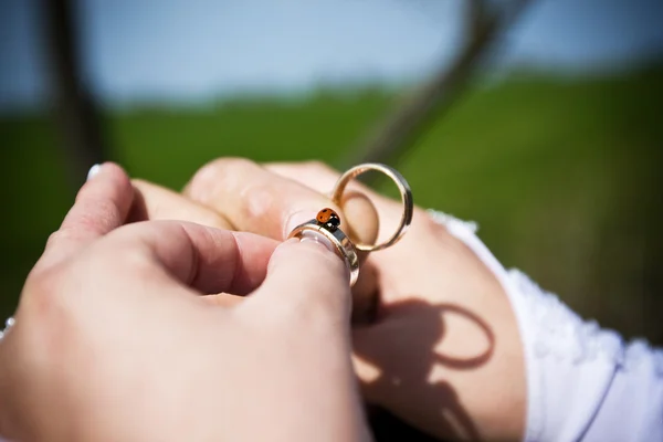 Een paar van wedding rings — Stockfoto