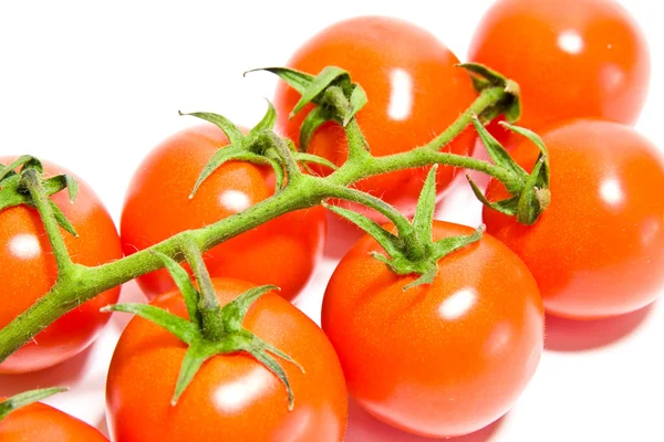 Bos van tomaten op witte achtergrond — Stockfoto