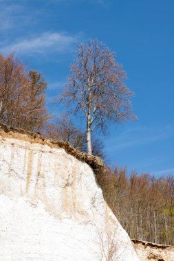 nationalpark jasmund - sassnitz - Almanya