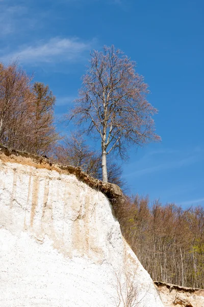 Nationalpark Jasmund - Sassnitz - Germany — Stock Photo, Image