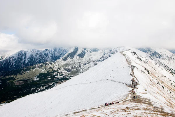 Tatry bergen in de winter — Stockfoto