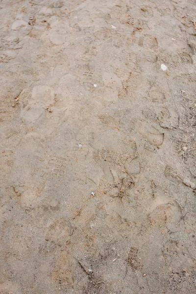 Pegadas na lama — Fotografia de Stock
