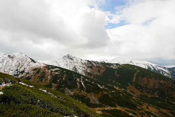 冬の雪にタトラ山脈を磨く — ストック写真