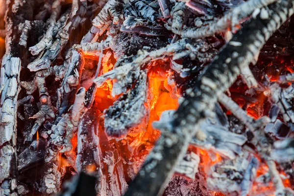 Fire and red embers in the fire — Stock Photo, Image