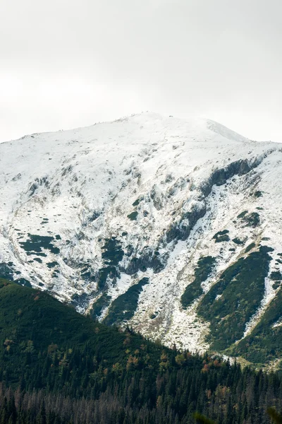 Montañas Tatras cubiertas de nieve en invierno - Polonia — Foto de Stock