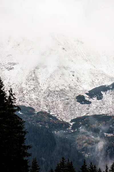 Tatra mountains täckta med snö på vintern - Polen — Stockfoto