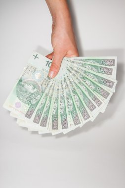 para banknottan 100 PLN Lehçe