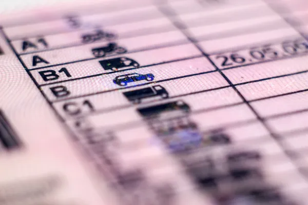 Polonya belge lisans kategorisi b