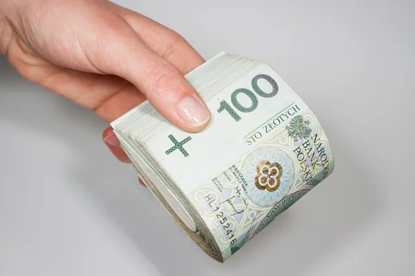 Dinheiro polaco como um sucesso nos negócios — Fotografia de Stock
