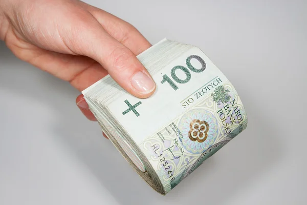 Das polnische Geld als Erfolg in der Wirtschaft — Stockfoto