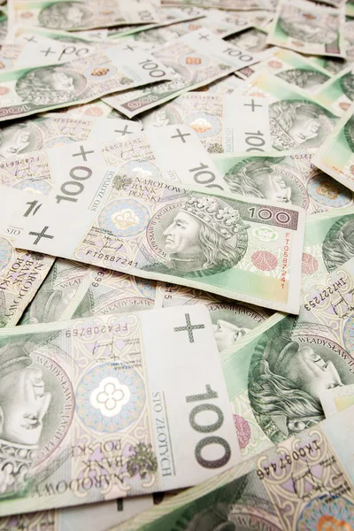 El dinero polaco como éxito en los negocios — Foto de Stock