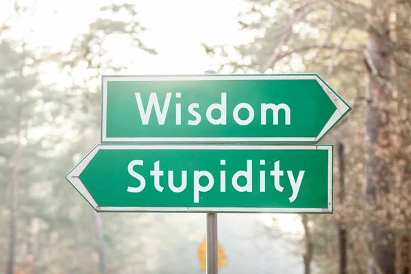 Signpost on two sides - Wisdom or Stupidity Stock Photo