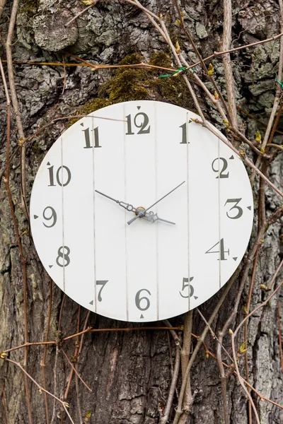 Relógio pendurado em uma árvore - um tempo transitório — Fotografia de Stock