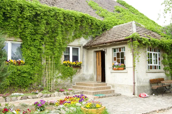 Hus bevuxen med vinstockar av blommor framme — Stockfoto