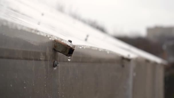매크로 밖의 온실 벽에는 두꺼운 비가 내리고 있습니다. 물이 쏟아져 내리고 있습니다. 방울로 된 플라스틱 벽 — 비디오