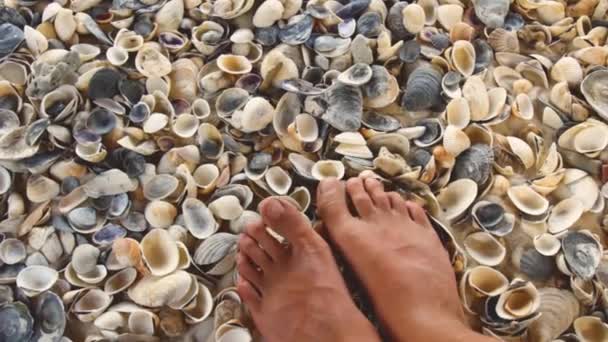 海底は貝殻や砂の上に立ち海や海の上から間近に見えます。リゾートバケーションコンセプト — ストック動画