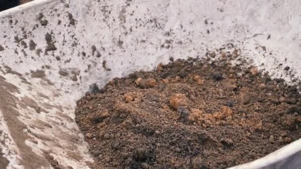 한 노동자가 4K 의 삽을 가까이 대고 손수레에 흙을 쏟아 붓습니다. 트롤리는 흙으로 가득 차 있어. 옥외에서 손으로 연장을 만드는 모습 — 비디오