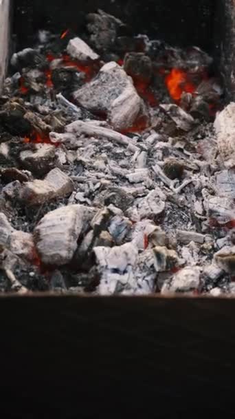 바베큐를 클로즈업하는 데있는 뜨거운 붉은 석탄 제련소입니다. 숯으로 요리하는 일 — 비디오