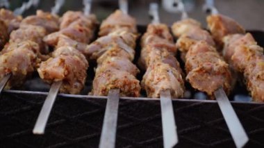 Sokakta mangal mangalında mangal yapan bir adam. Barbekü dışarıda. Doğada piknik. Izgara etle şiş kebap yapıyor.