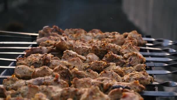 Un hombre cocina barbacoa en pinchos en la parrilla de carbón en la calle. Barbacoa exterior. Picnic en la naturaleza. Brochetas de tiradas con carne a la parrilla primer plano — Vídeos de Stock