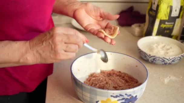 Женщина делает пельмени своими руками из теста и мяса на домашней кухне крупным планом. Домашняя кухня — стоковое видео