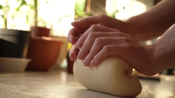 A gazda kezei gyúrják össze a tésztát közelről. Búzalisztből való sütés. Főzés otthon — Stock videók