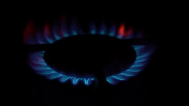 der Gasbrenner auf dem Küchenherd brennt. Brennende blaue Feuerflamme im Dunkeln auf schwarzem Hintergrund. Entzündung von Erdgas. Natürliche Energieträger, fossile Brennstoffe.