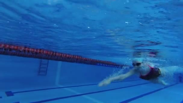 水着姿のスポーツウォーカーダイビングゴーグル水泳帽姿の水泳選手がプールでトレーニング中です 選手は水中で泳ぐ 水中撮影 — ストック動画