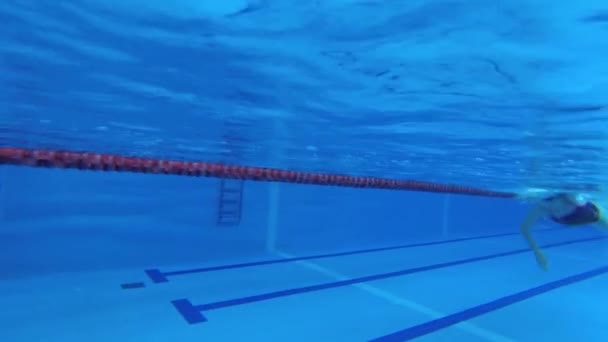 身穿运动服 戴着潜水护目镜 戴着泳帽的女运动员正在游泳池里训练 运动员在水下游泳 水下射击 — 图库视频影像