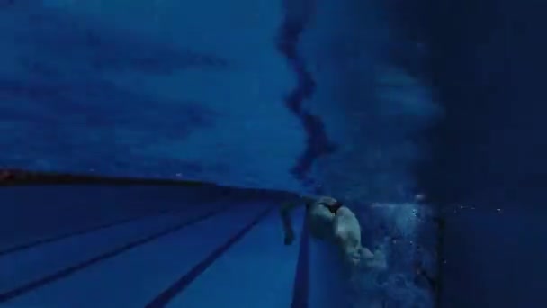 水着姿のスポーツウォーカーダイビングゴーグル水泳帽姿の水泳選手がプールでトレーニング中です 選手は水中で泳ぐ 水中撮影 — ストック動画